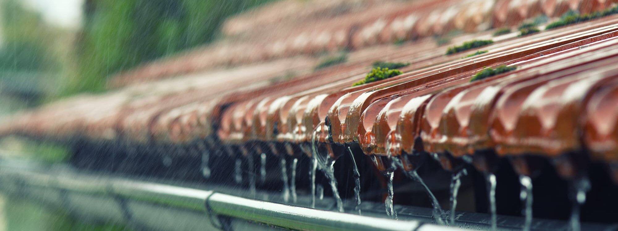 Démoussage de toiture : un entretien simple pour une meilleure isolation thermique Guebwiller